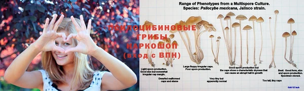 герыч Медногорск