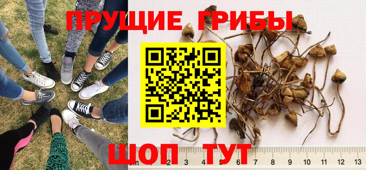 Псилоцибиновые грибы Magic Shrooms  Вход с VPN  Псилоцибиновые грибы мицелий  Подольск 